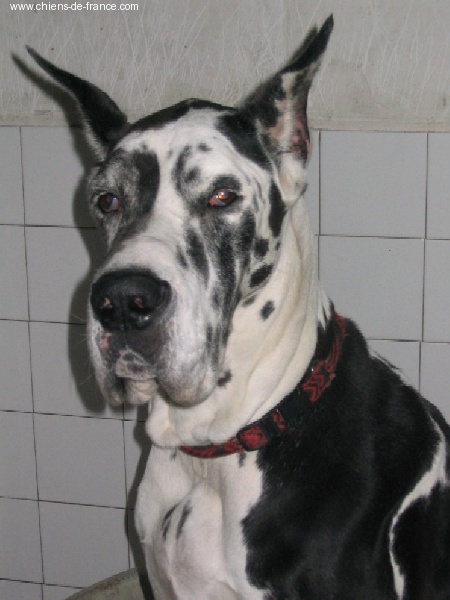 Pamela Des Terres De La Rairie