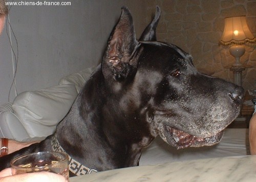Olympe du Temple Sacré d'héloïse
