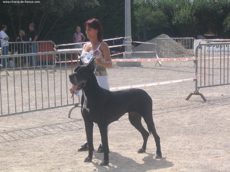 CH. Opium du Temple Sacré d'héloïse