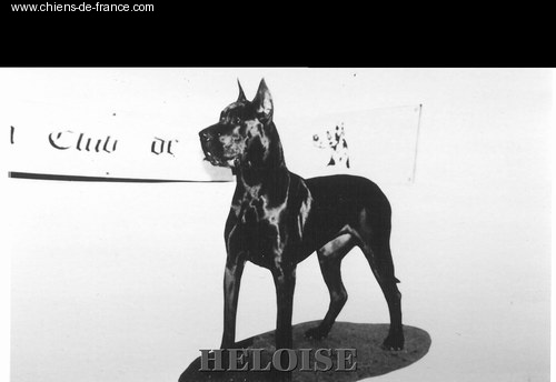 Héloïse (Sans Affixe)